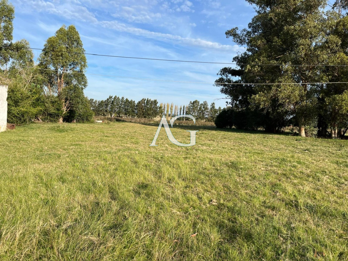 Chacra ID.186 - CHACRA PUEBLO EDEN