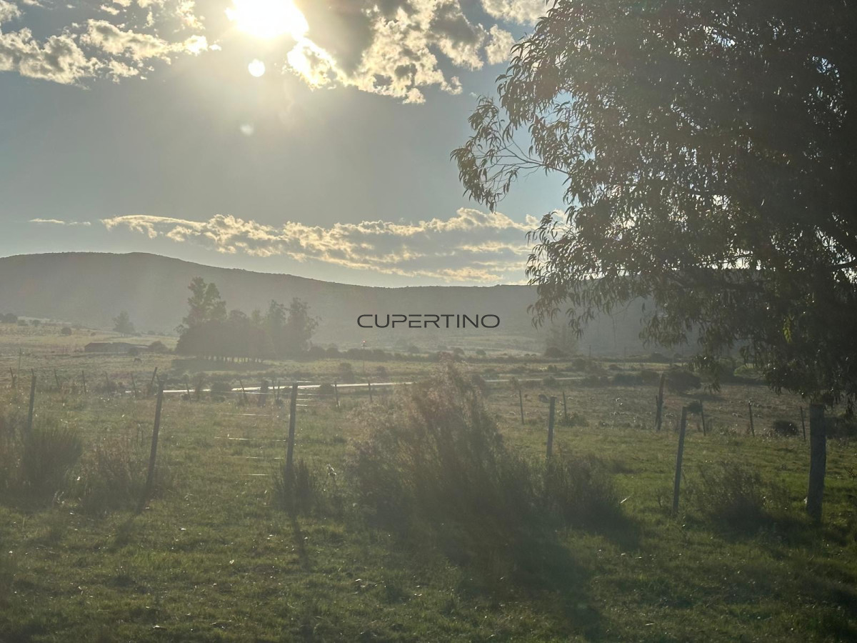 Chacra ID.2480 - 