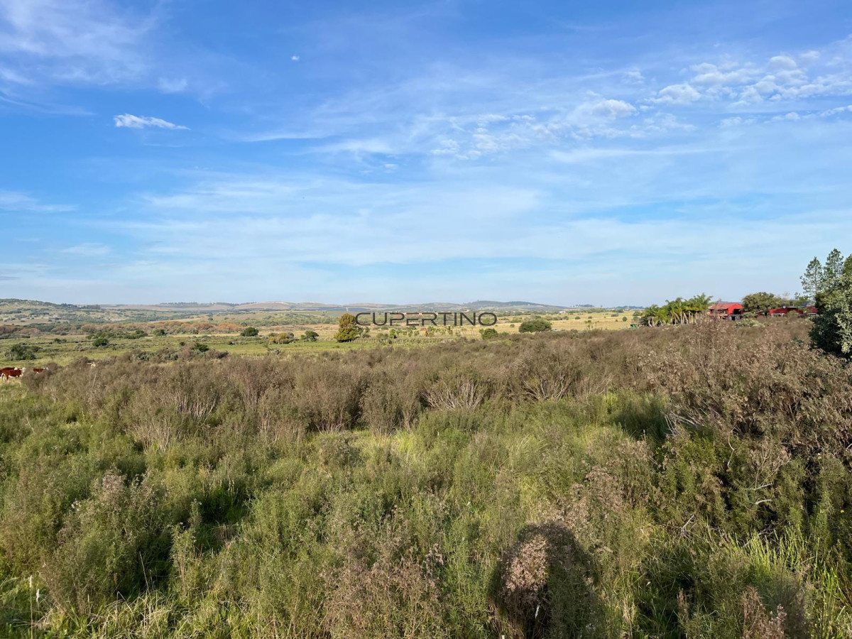 Chacra ID.2480 - 