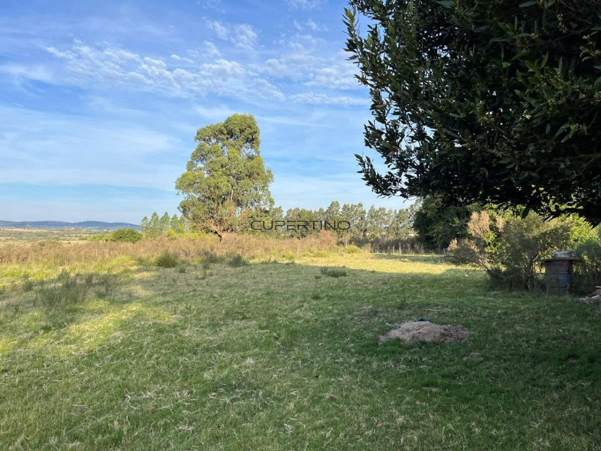 Chacra ID.2480 - 