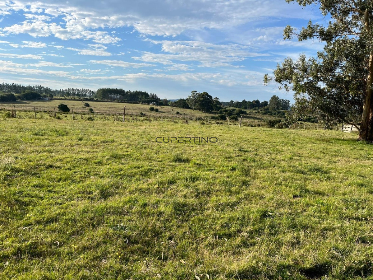 Chacra ID.2480 - 