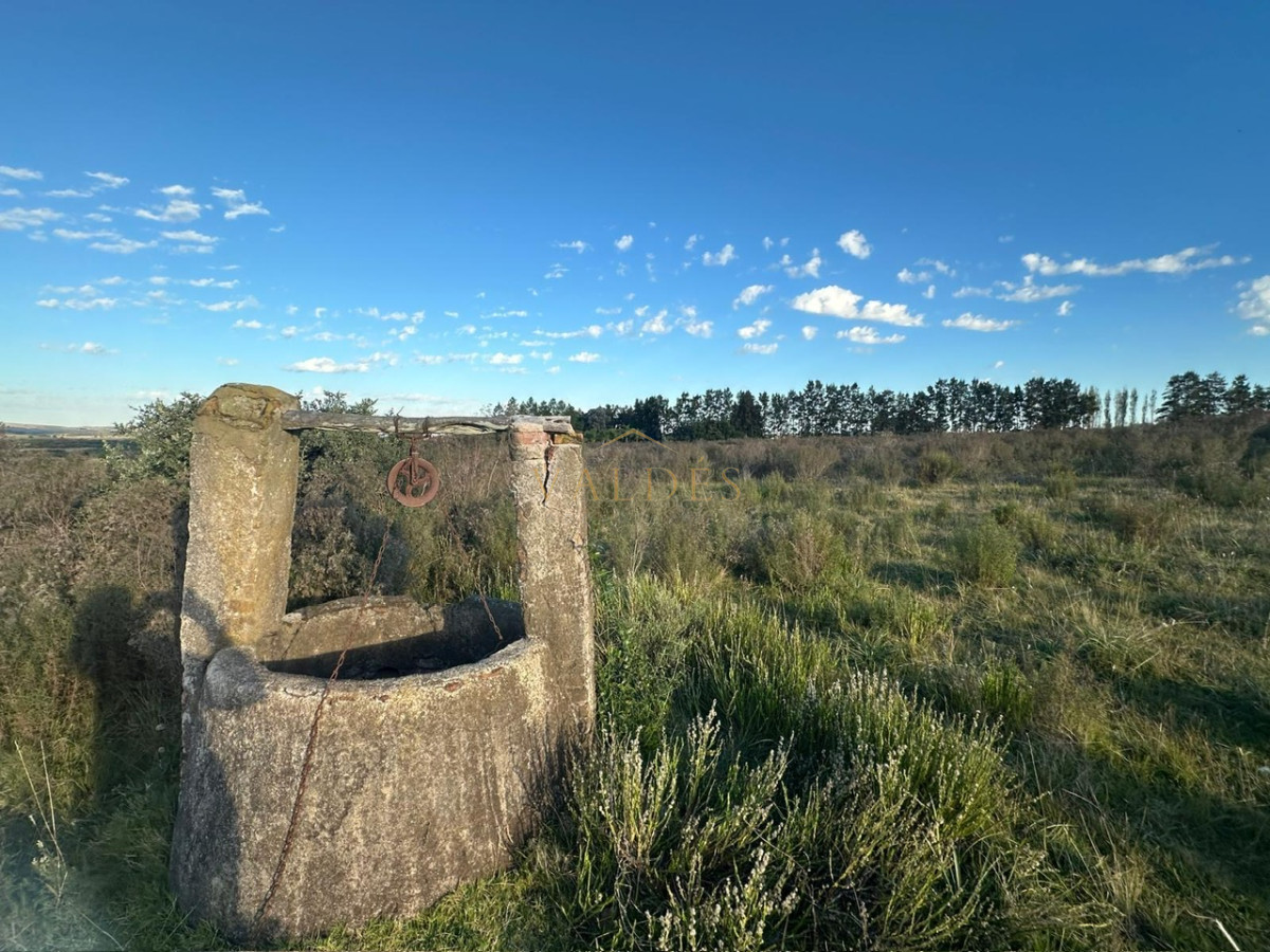 Chacra ID.5038 - CHACRA PUEBLO EDEN