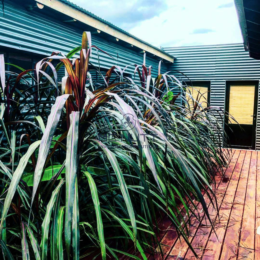 Casa ID.9/ - Casa - Arenas de José Ignacio