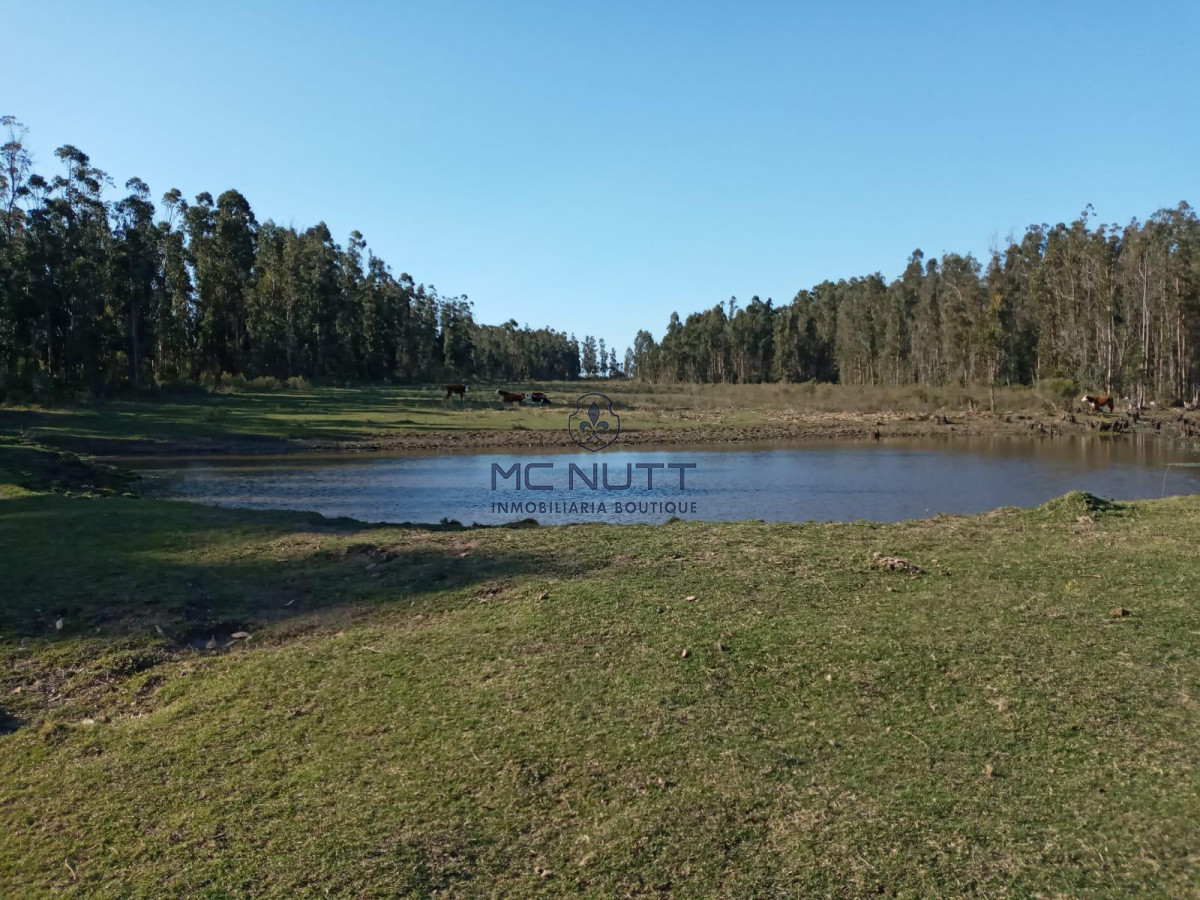 Chacra ID.30/ - Chacra - Manantiales