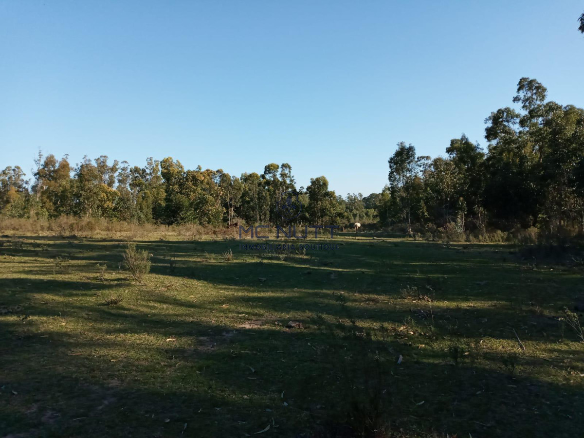 Chacra ID.30/ - Chacra - Manantiales