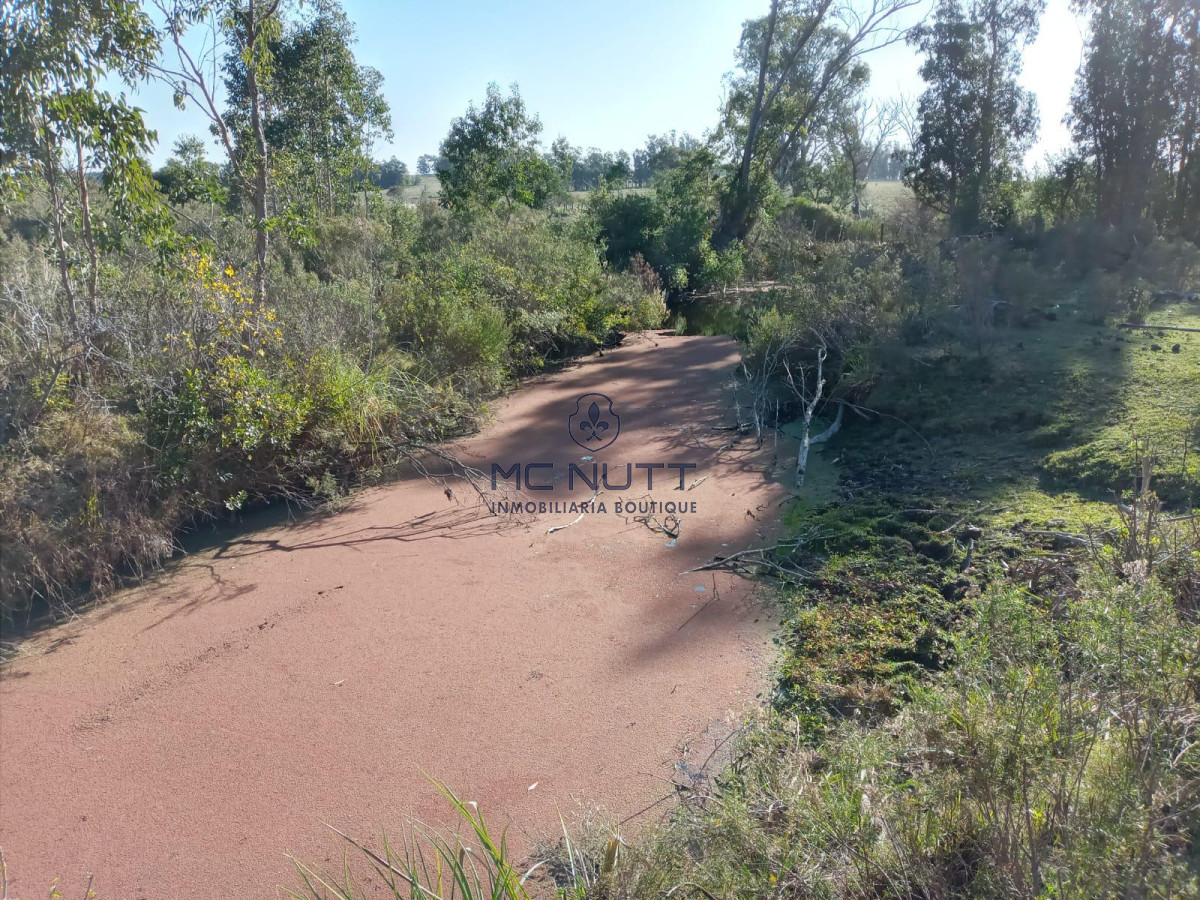 Chacra ID.30/ - Chacra - Manantiales