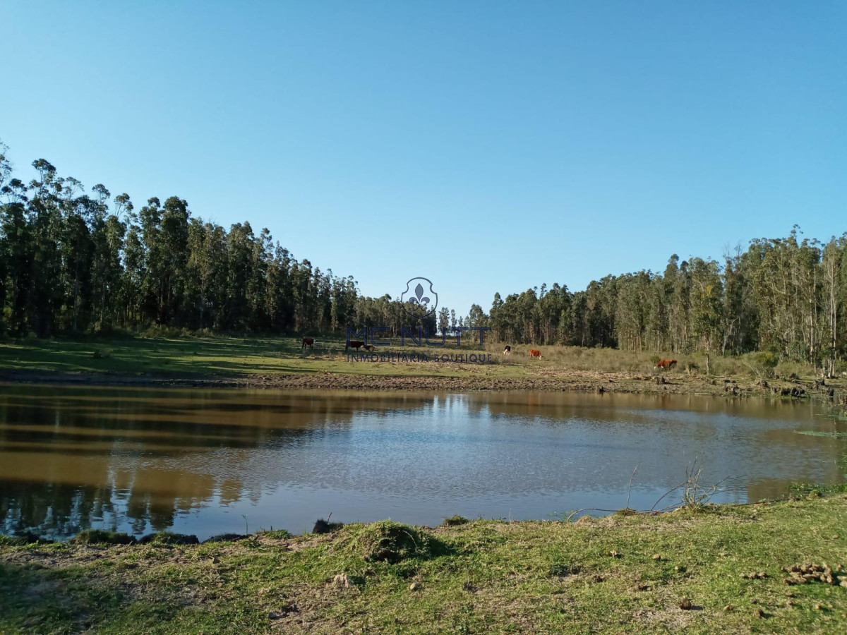 Chacra ID.30/ - Chacra - Manantiales