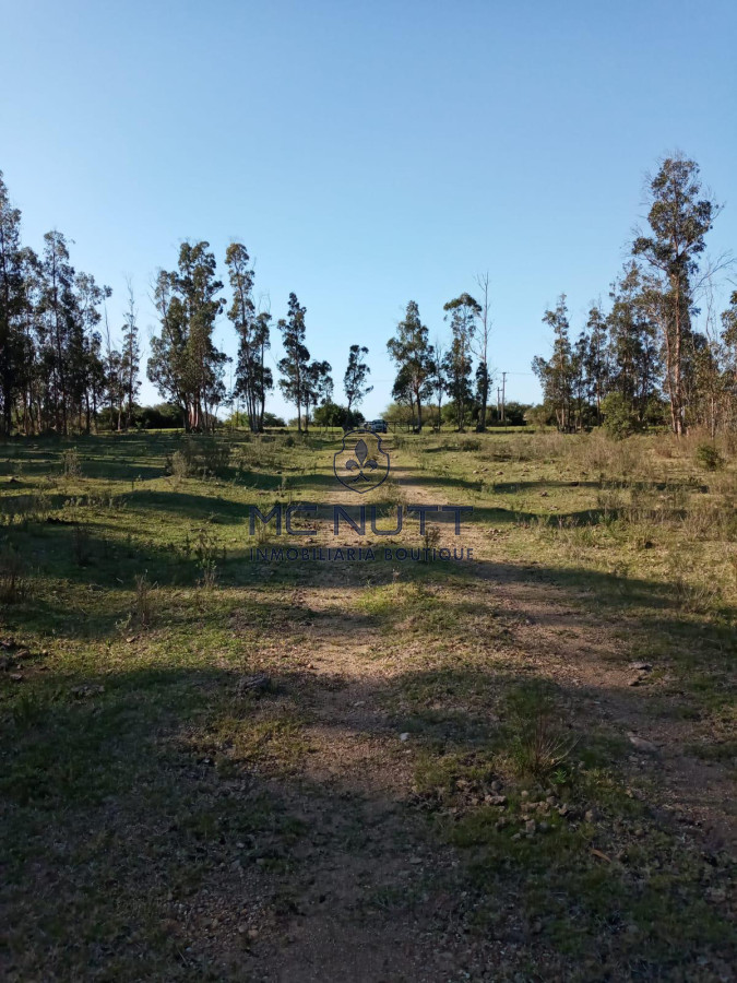 Chacra ID.30/ - Chacra - Manantiales