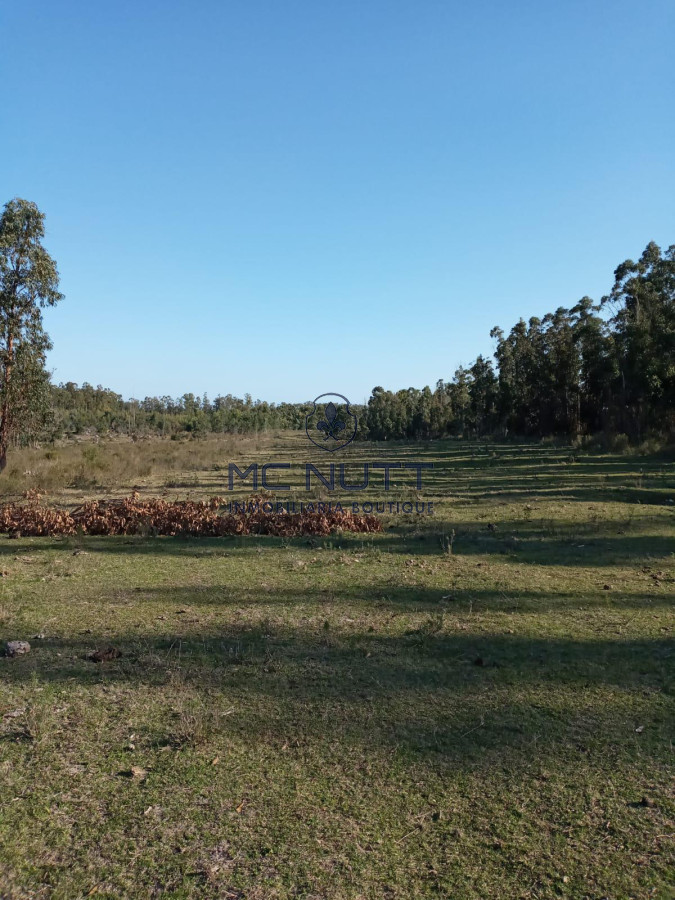 Chacra ID.30/ - Chacra - Manantiales