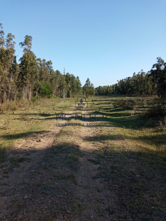 Chacra ID.30/ - Chacra - Manantiales