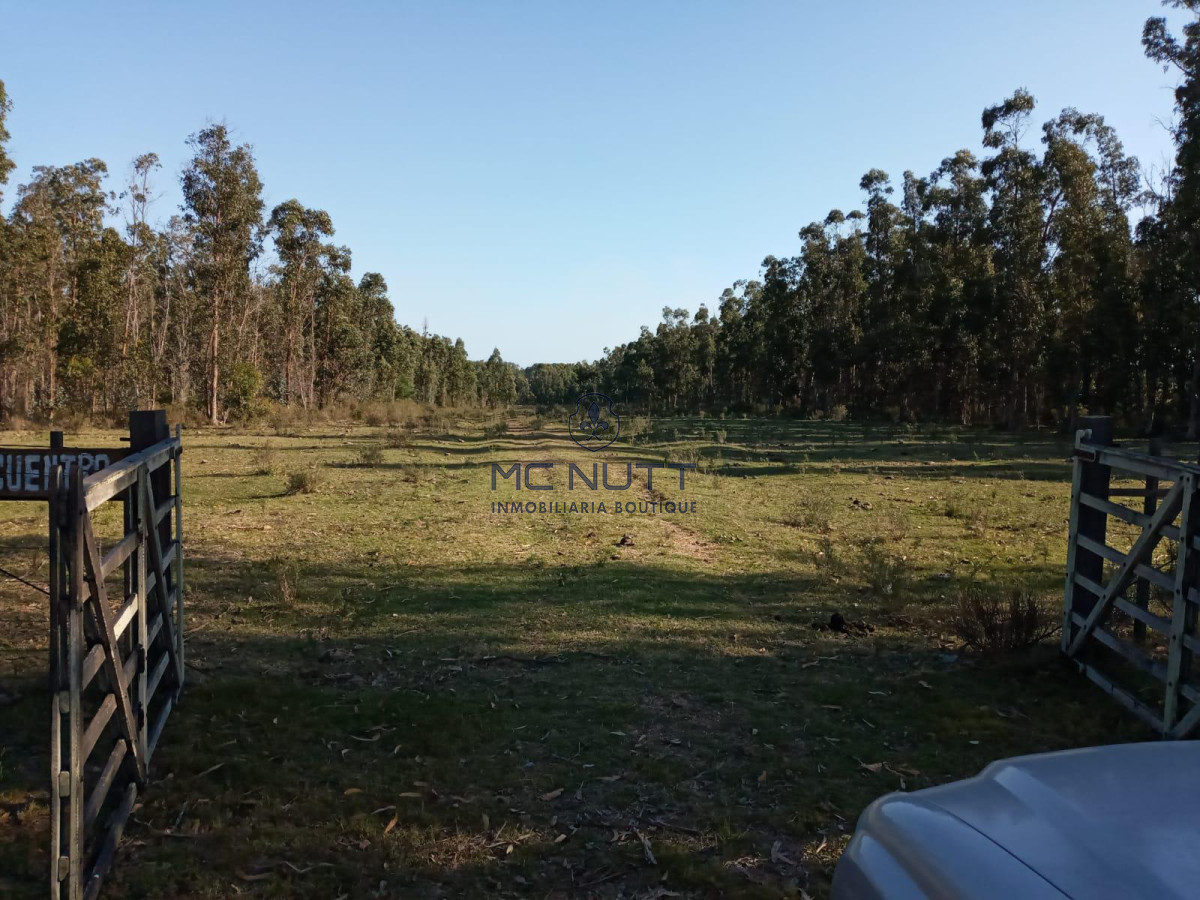 Chacra ID.30/ - Chacra - Manantiales