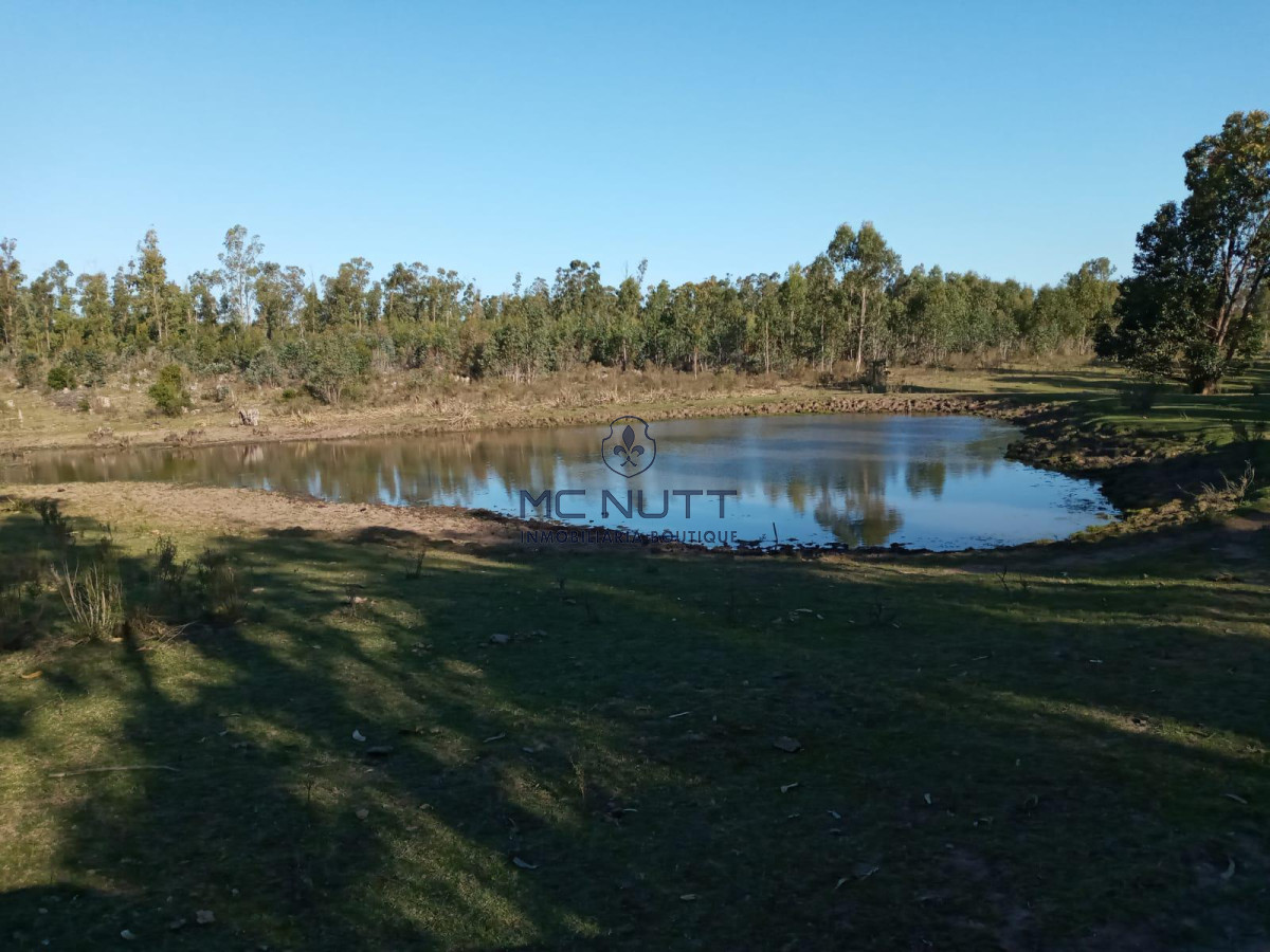 Chacra ID.30/ - Chacra - Manantiales