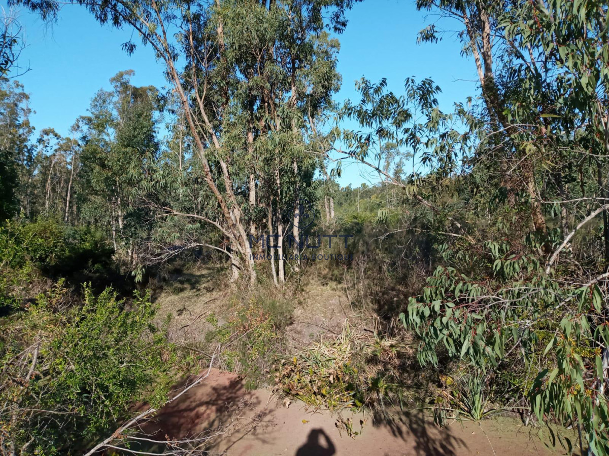 Chacra ID.30/ - Chacra - Manantiales