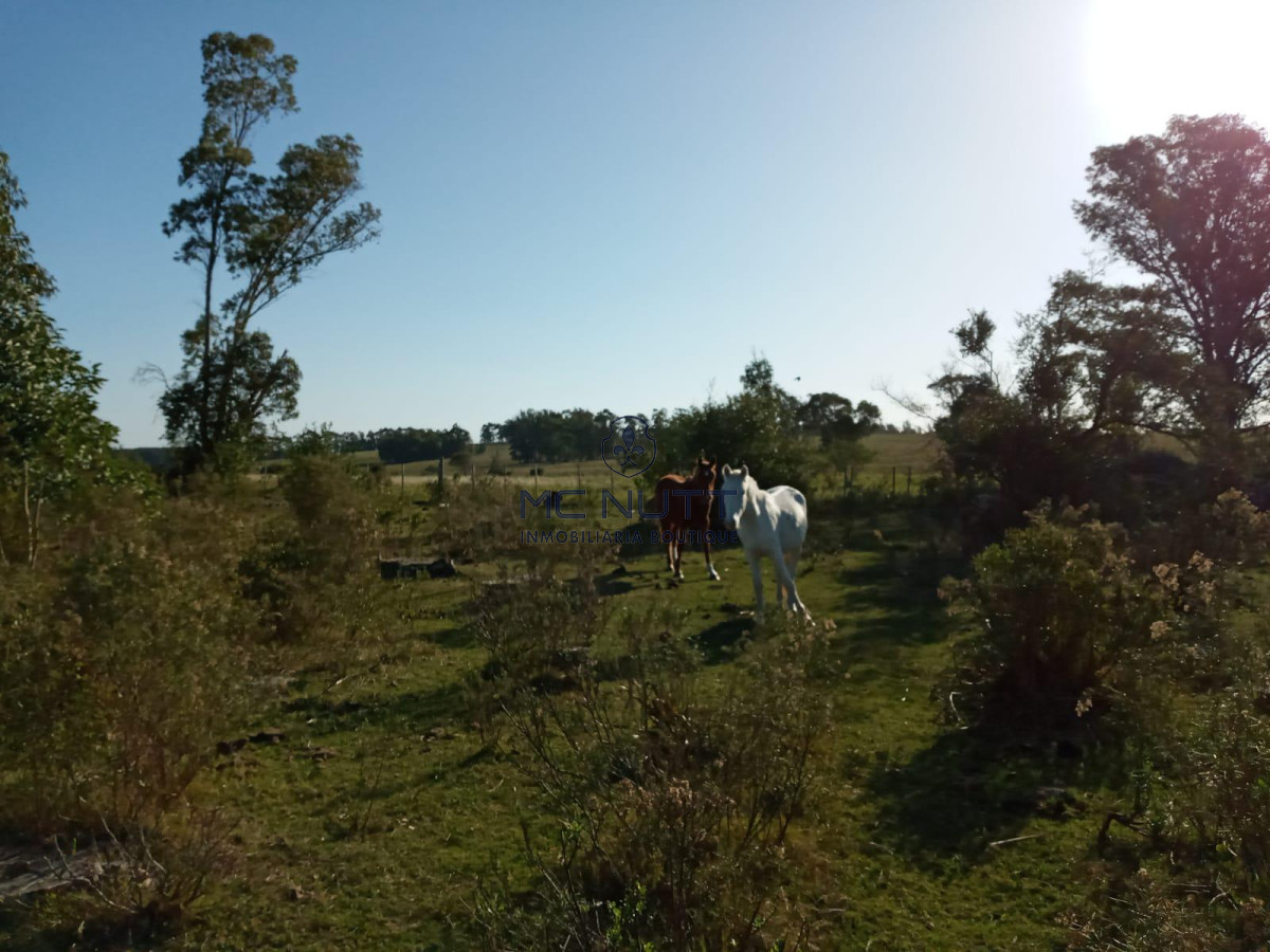 Chacra ID.30/ - Chacra - Manantiales