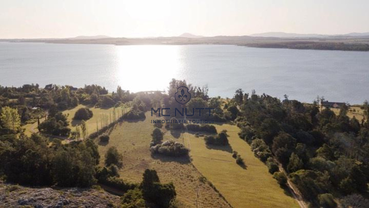 Chacra ID.39/ - Chacra - Solanas