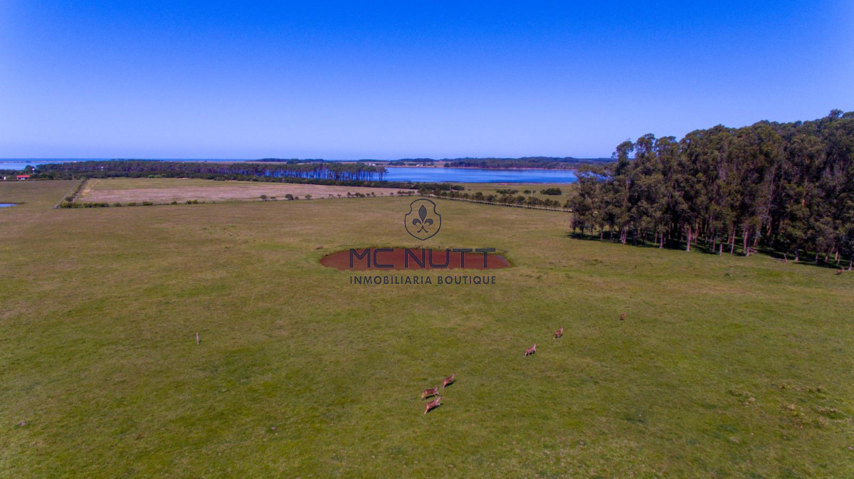 Chacra ID.74/ - CAMPO EXCLUSIVO EN GARZÓN 