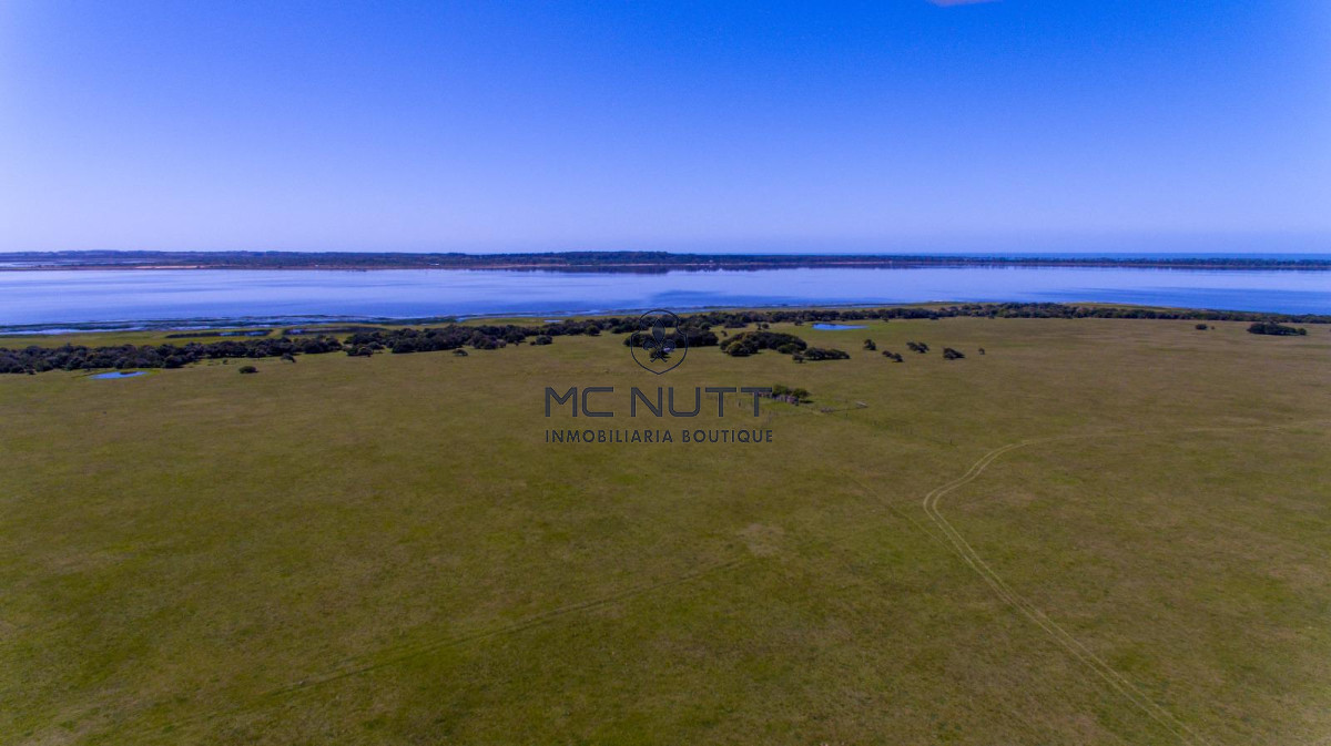 Chacra ID.74/ - CAMPO EXCLUSIVO EN GARZÓN 