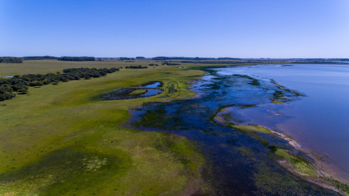 Chacra ID.74/ - CAMPO EXCLUSIVO EN GARZÓN 