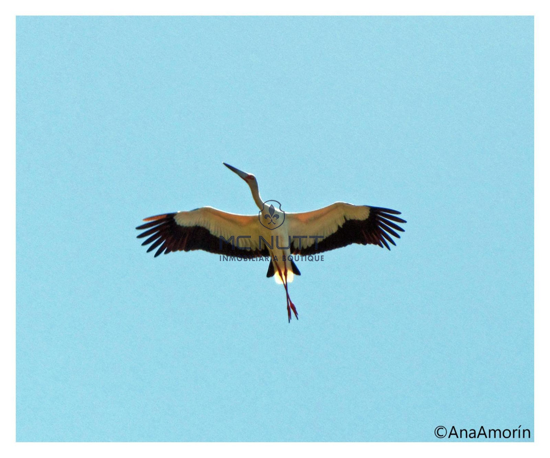 Chacra ID.74/ - CAMPO EXCLUSIVO EN GARZÓN 