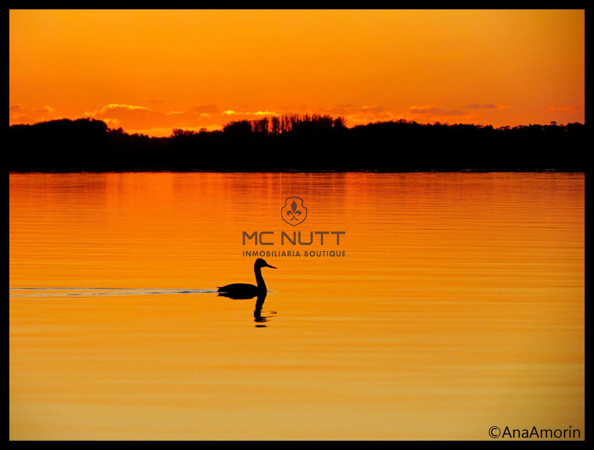 Chacra ID.74/ - CAMPO EXCLUSIVO EN GARZÓN 