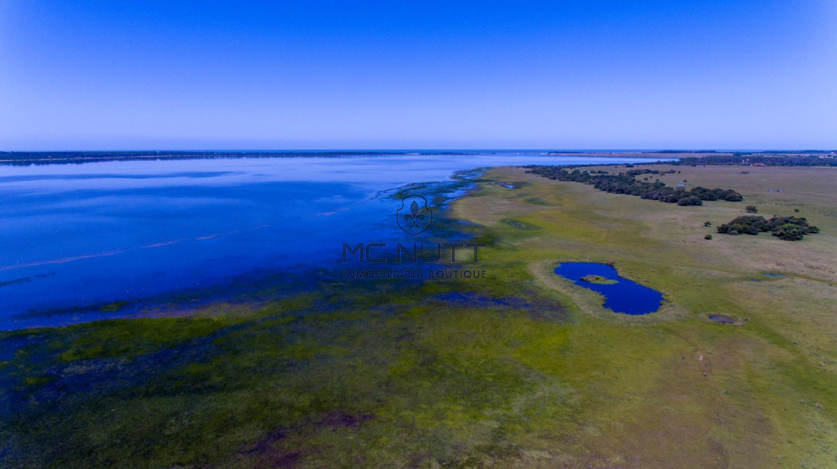 Chacra ID.74/ - CAMPO EXCLUSIVO EN GARZÓN 