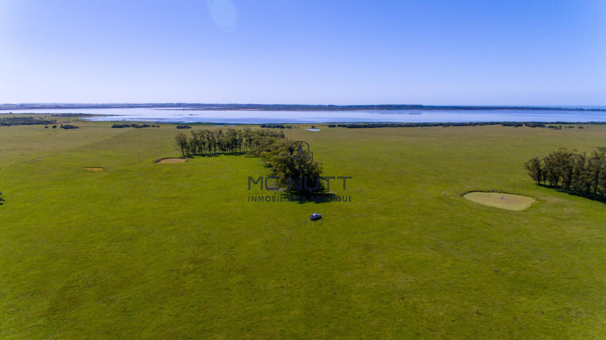 Chacra ID.74/ - CAMPO EXCLUSIVO EN GARZÓN 