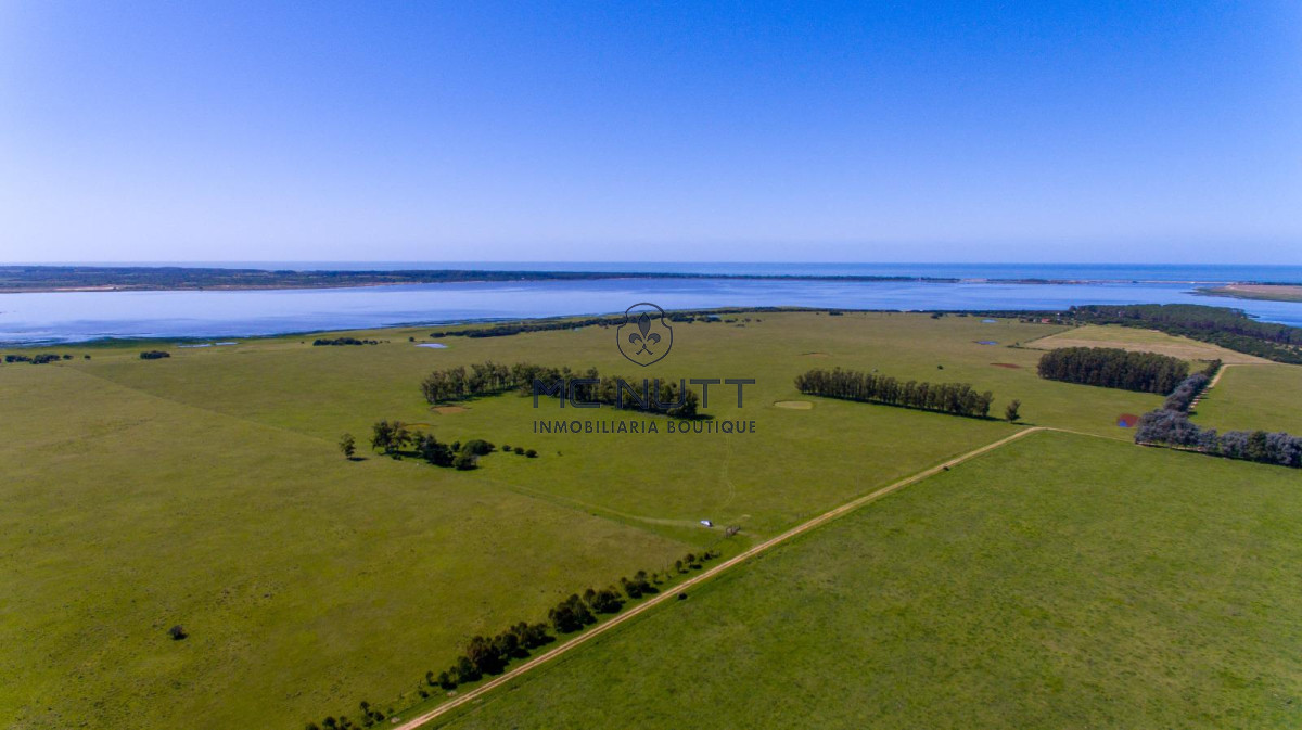 Chacra ID.74/ - CAMPO EXCLUSIVO EN GARZÓN 