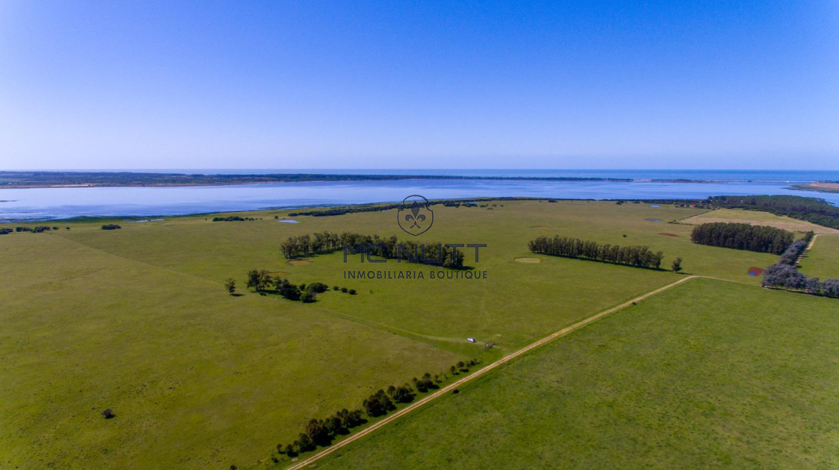 Chacra ID.74/ - CAMPO EXCLUSIVO EN GARZÓN 