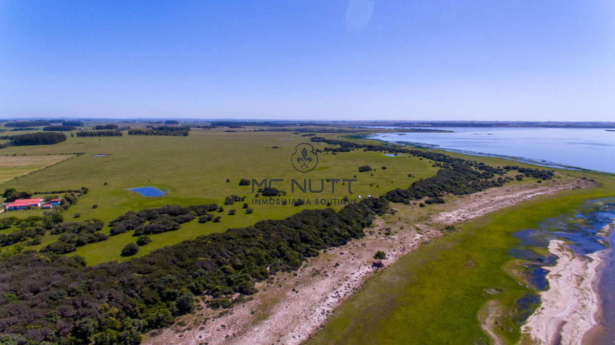 Chacra ID.74/ - CAMPO EXCLUSIVO EN GARZÓN 