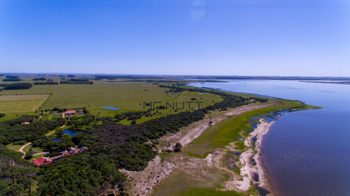 Chacra ID.74/ - CAMPO EXCLUSIVO EN GARZÓN 