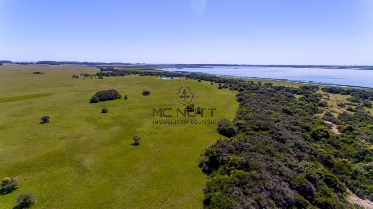 Chacra ID.74/ - CAMPO EXCLUSIVO EN GARZÓN 