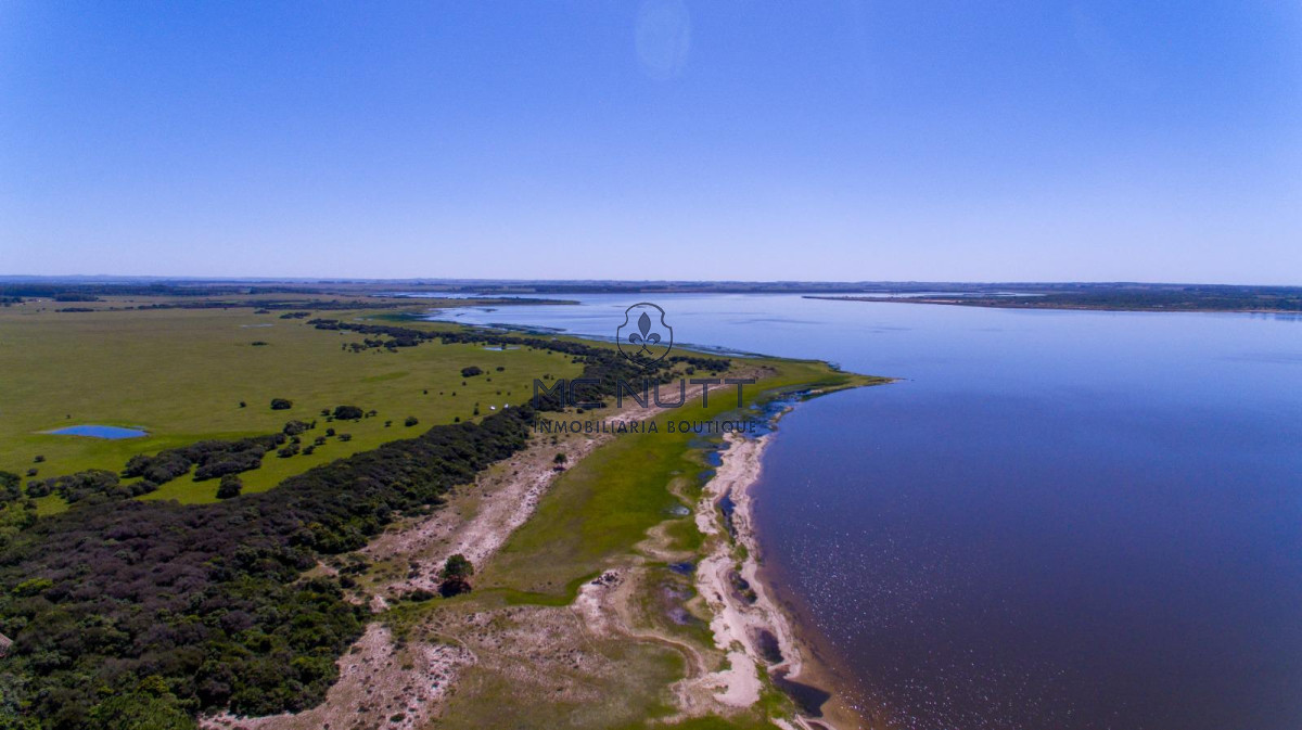 Chacra ID.74/ - CAMPO EXCLUSIVO EN GARZÓN 