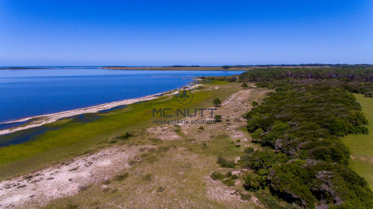 Chacra ID.74/ - CAMPO EXCLUSIVO EN GARZÓN 