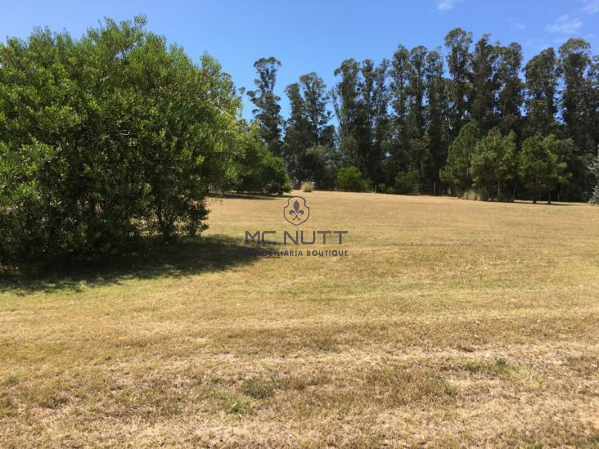 Terreno ID.15/ - Terreno - Golf