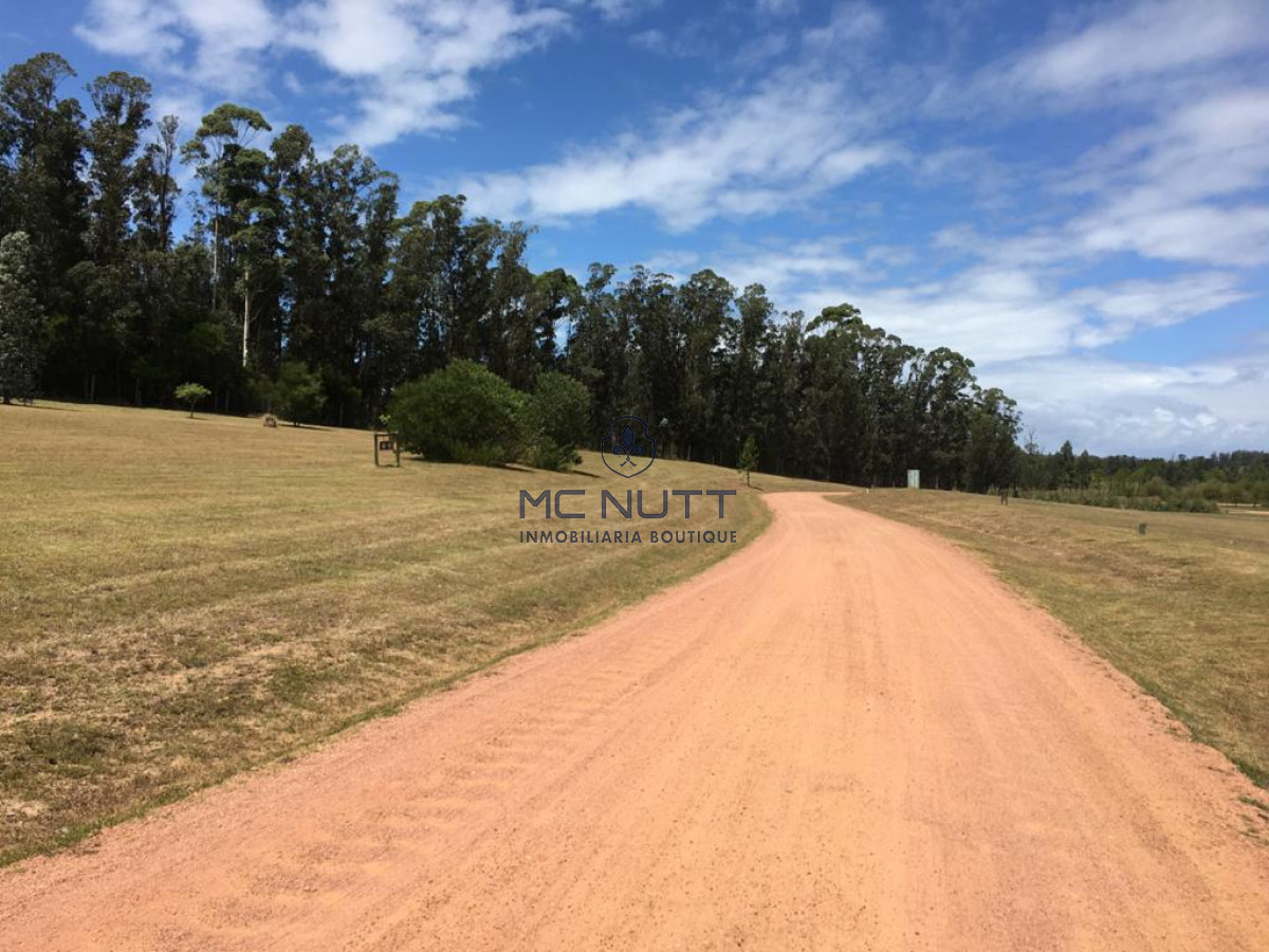 Terreno ID.15/ - Terreno - Golf