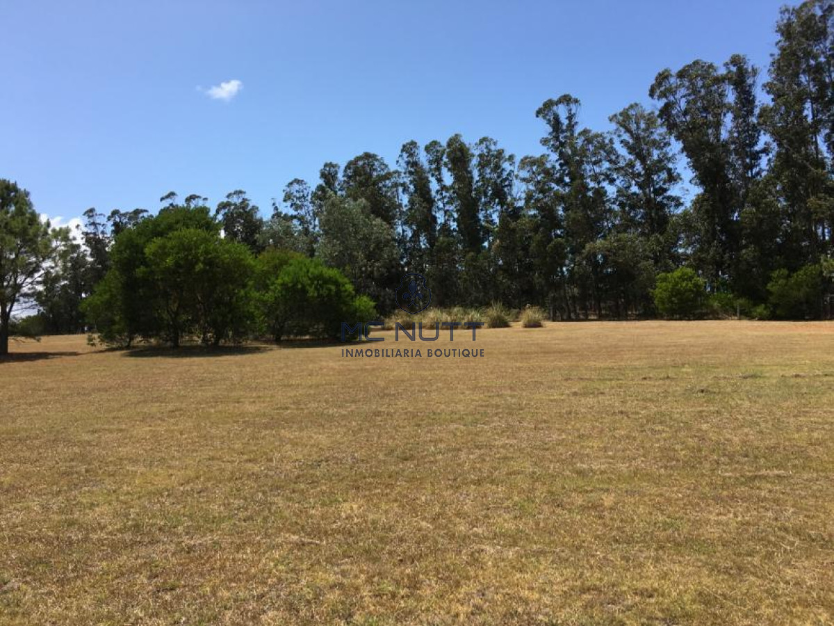 Terreno ID.15/ - Terreno - Golf