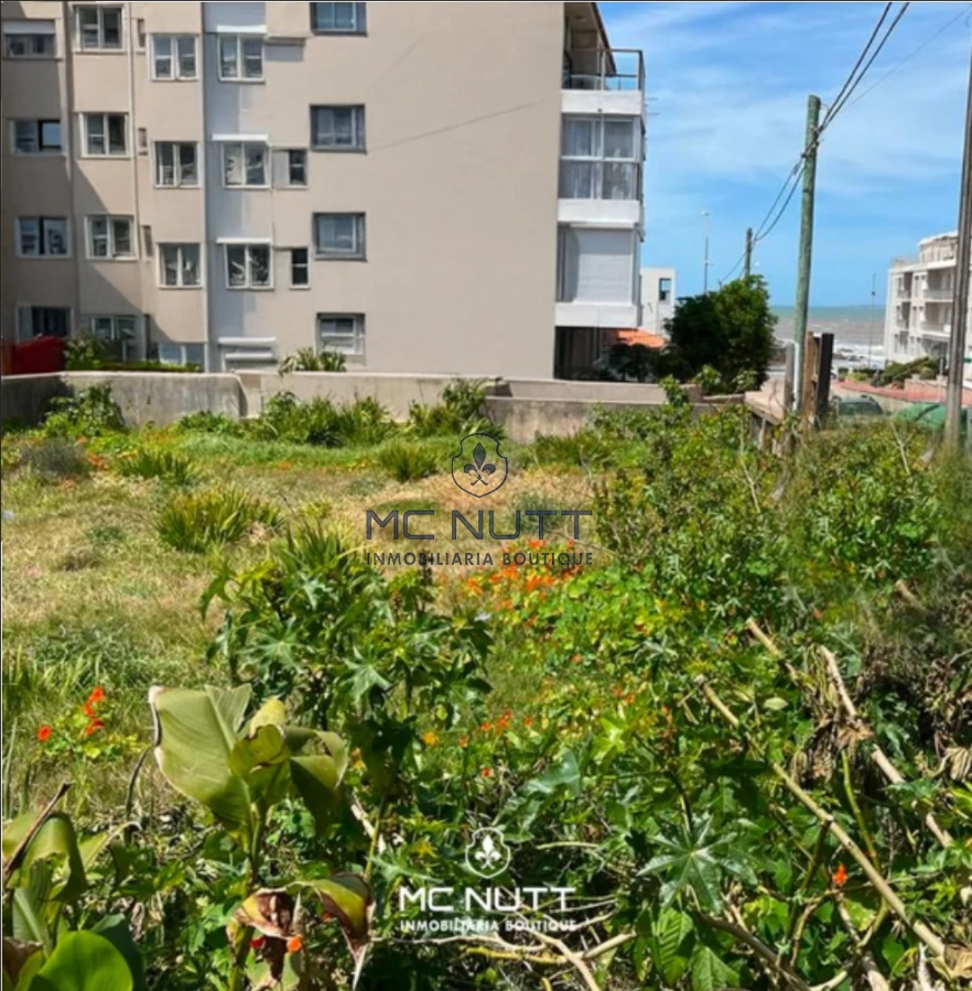 Terreno ID.717/ - TERRENO PENINSULA