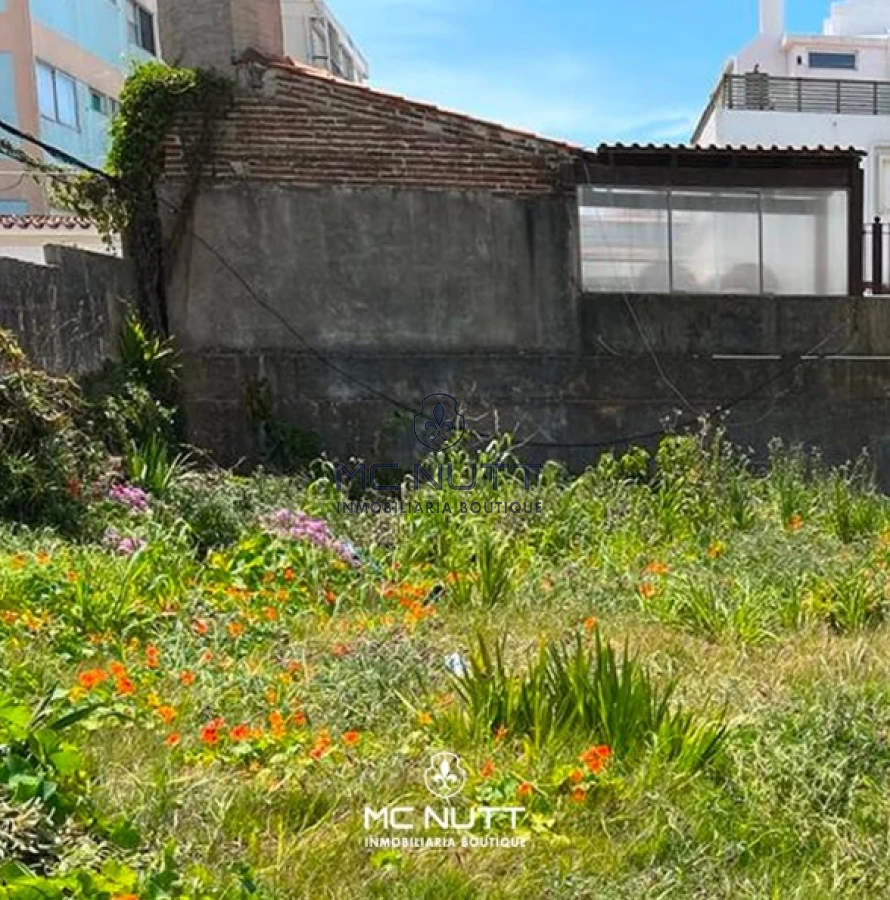 Terreno ID.717/ - TERRENO PENINSULA