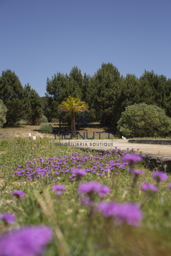 Terreno ID.83/ - Terreno en Acres de Solanas - Punta del Este Oportunidad