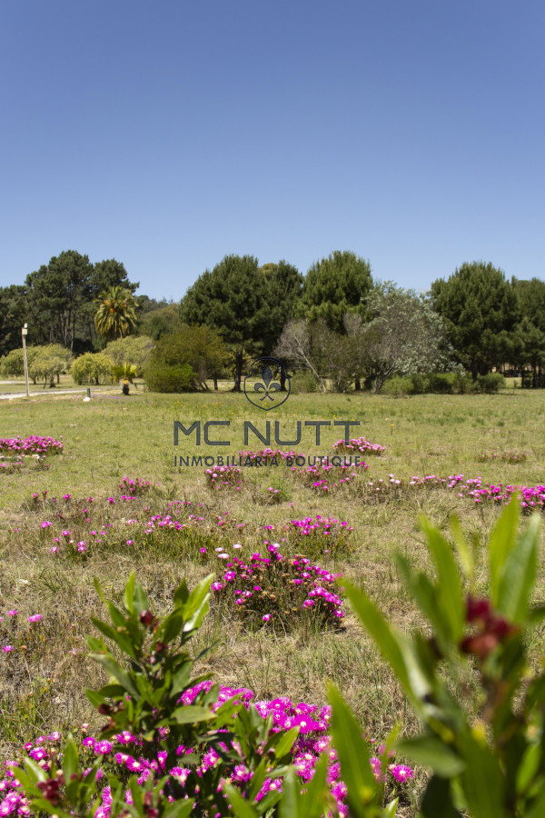 Terreno ID.83/ - Terreno en Acres de Solanas - Punta del Este Oportunidad