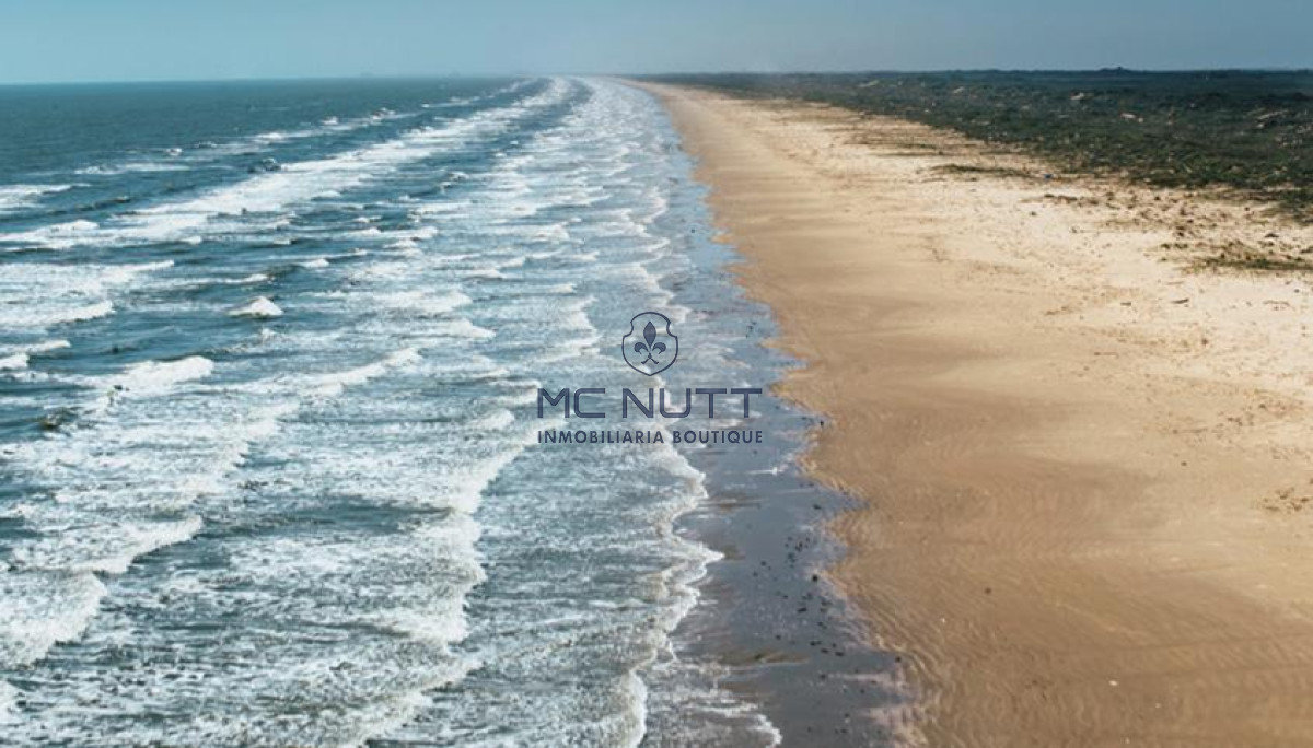 Terreno ID.8/ - Terreno - Las Garzas