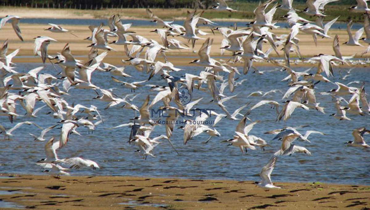 Terreno ID.8/ - Terreno - Las Garzas