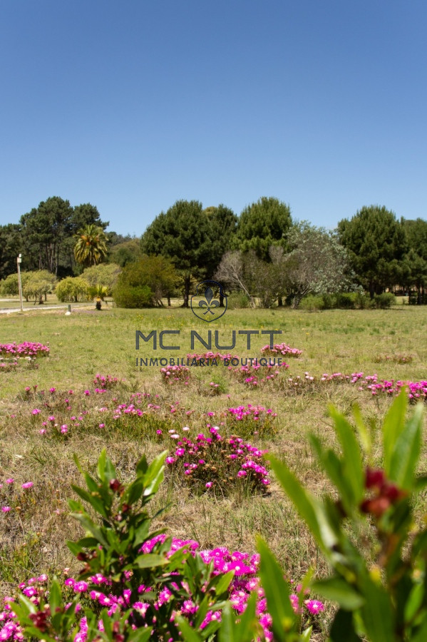 Terreno ID.408/ - Acres de Solanas