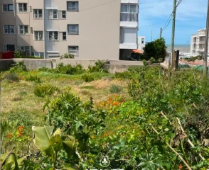 TERRENO PENINSULA