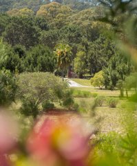 Terreno en Punta Ballena, Solanas