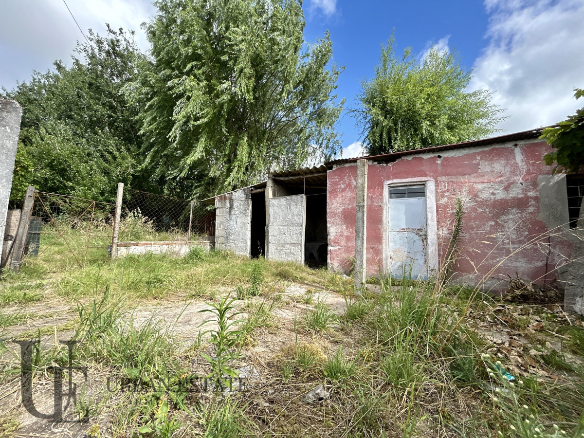 Casa ID.538 - VENDIDA Venta Casa 2 Dormitorios  + Apartamento De Servicio, En Pando, Canelones