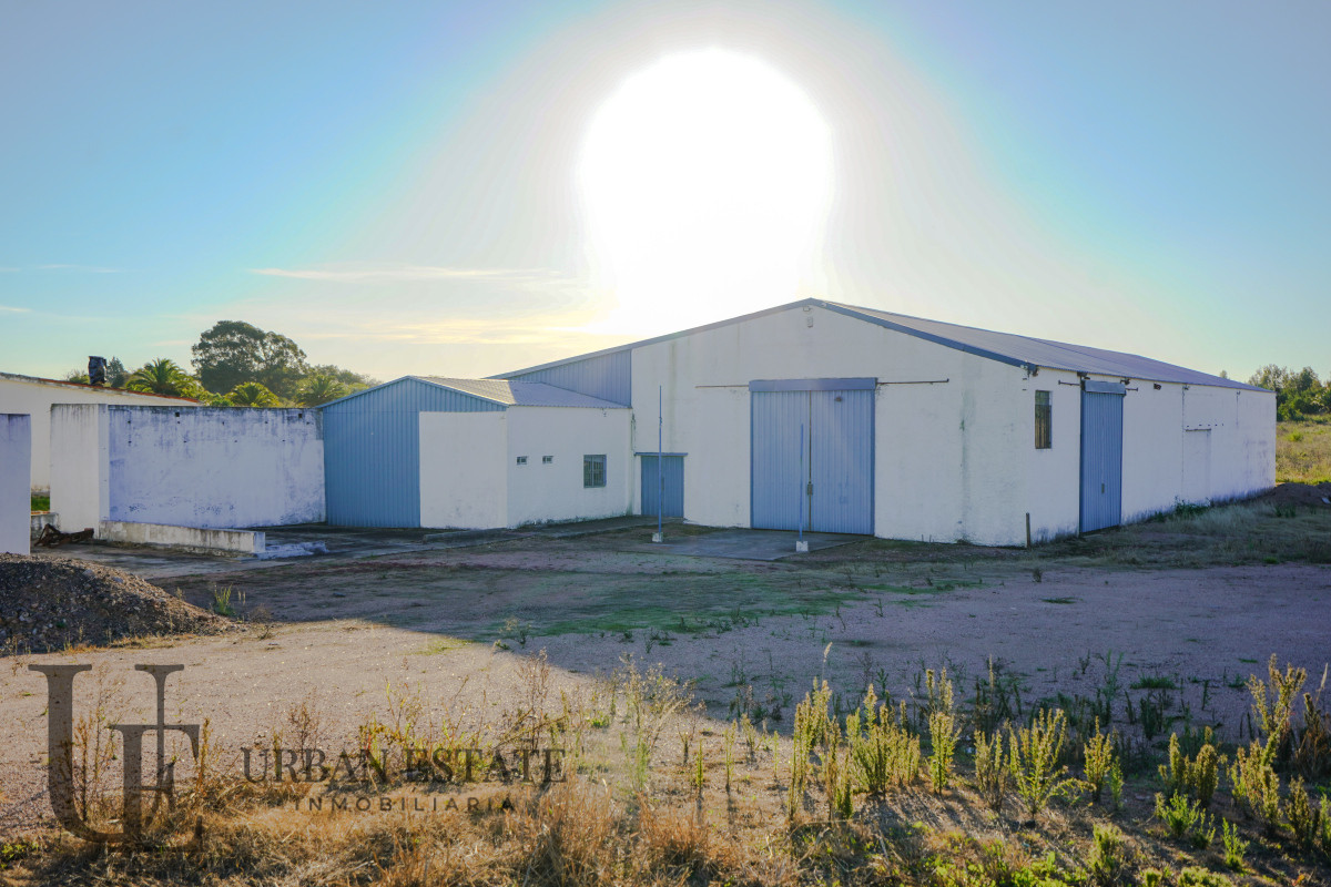 Galpón ID.566 - Alquiler Deposito Logistico Ideal Empresas Toledo