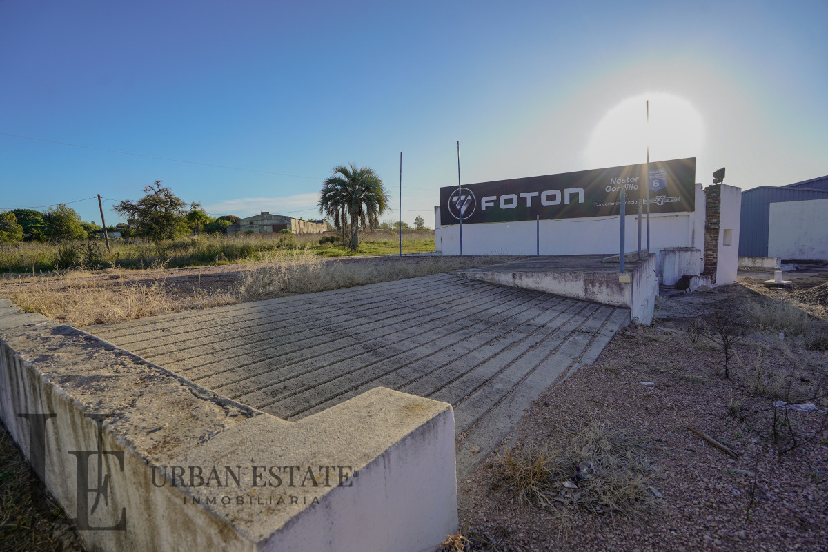 Galpón ID.566 - Alquiler Deposito Logistico Ideal Empresas Toledo