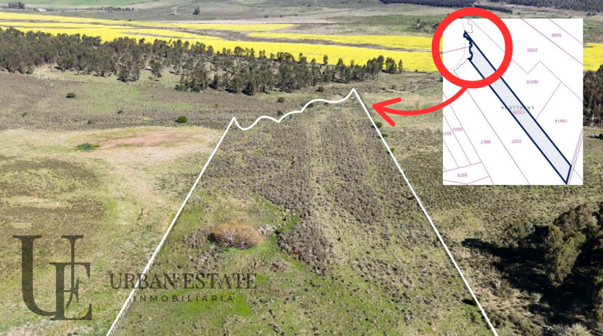 Campo Ref.586 - Campo en Venta Villa del Rosario Lavalleja 10 Has 