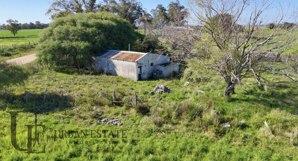 Campo Ref.586 - Campo en Venta Villa del Rosario Lavalleja 10 Has 